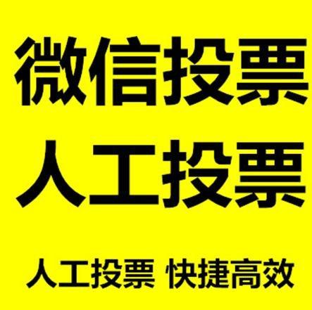 普洱市投票活动拉票能被查出来吗？如何操作能不被发现？